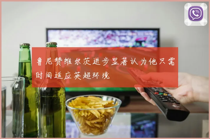 鲁尼赞维尔茨进步显著认为他只需时间适应英超环境