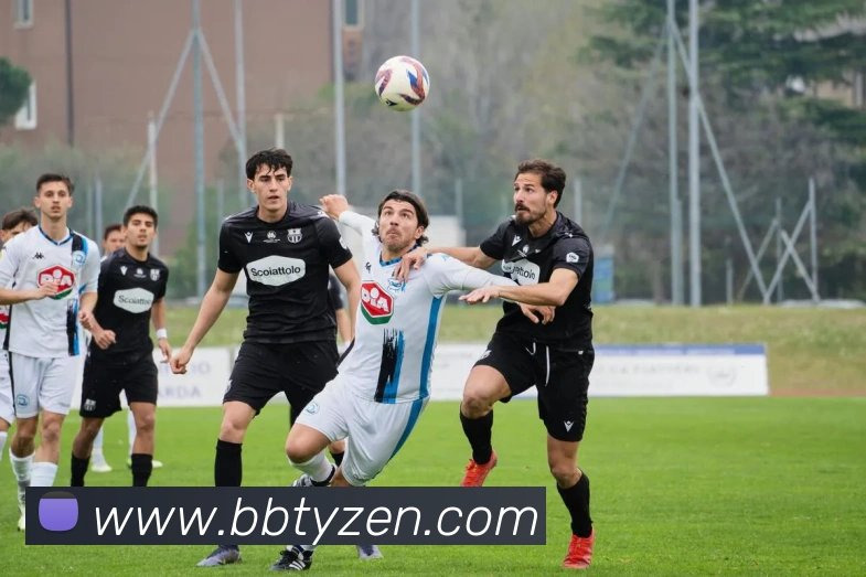 贝博体育平台生态图